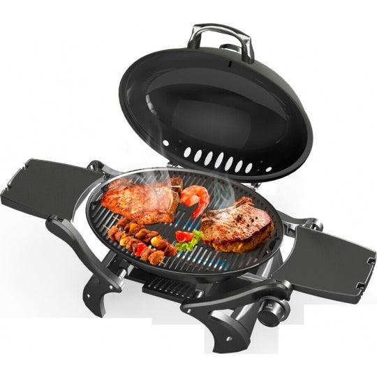 Deluxe Portable Gas Barbecue