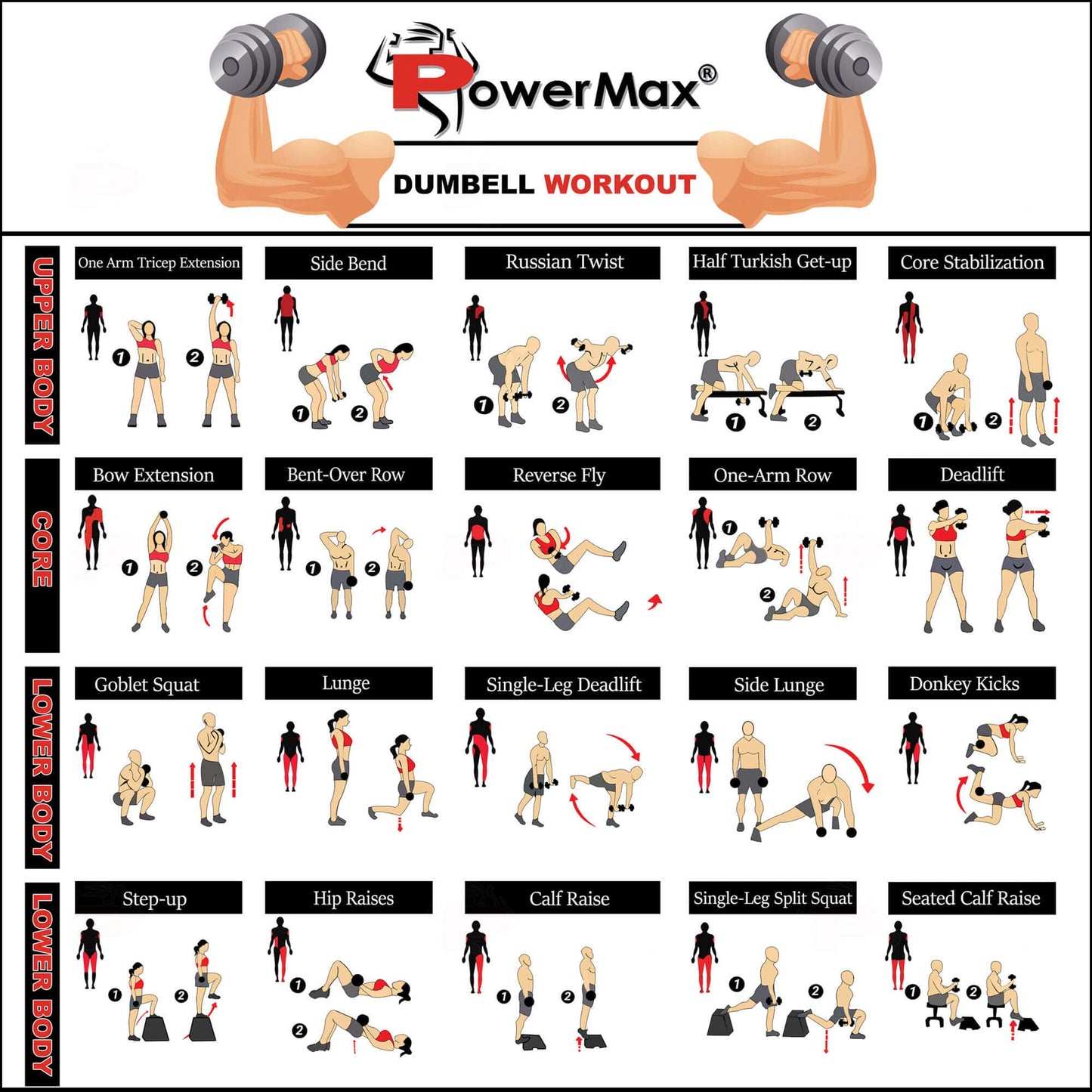 Powermax Fitness PDS-20KG Dumbbell Set